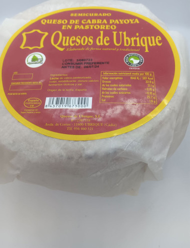 Queso Payoya